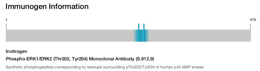 Phospho-ERK1/ERK2 (Thr202, Tyr204) Monoclonal Antibody (S.812.9)
