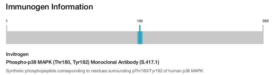 Phospho-p38 MAPK (Thr180, Tyr182) Monoclonal Antibody (S.417.1)