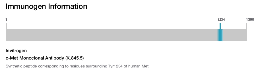 c-Met Monoclonal Antibody (K.845.5)