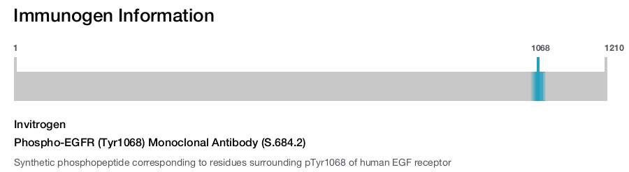 Phospho-EGFR (Tyr1068) Monoclonal Antibody (S.684.2)