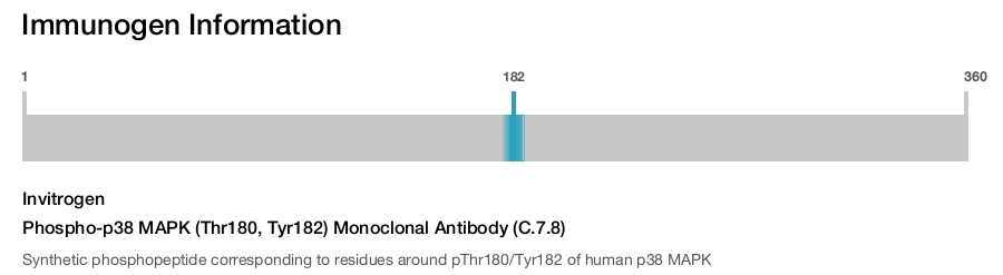 Phospho-p38 MAPK (Thr180, Tyr182) Monoclonal Antibody (C.7.8)