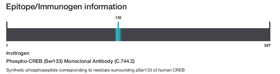 Phospho-CREB (Ser133) Monoclonal Antibody (C.744.2)