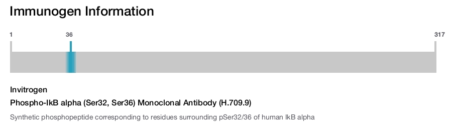 Phospho-IkB alpha (Ser32, Ser36) Monoclonal Antibody (H.709.9)