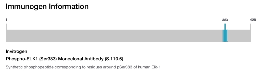 Phospho-ELK1 (Ser383) Monoclonal Antibody (S.110.6)