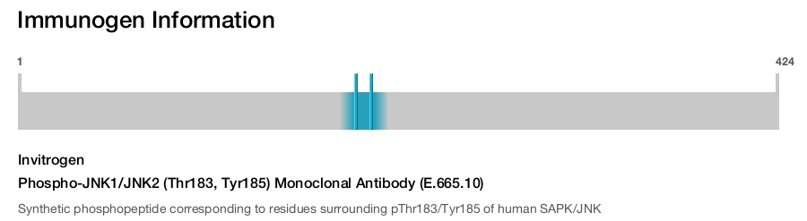 Phospho-JNK1/JNK2 (Thr183, Tyr185) Monoclonal Antibody (E.665.10)