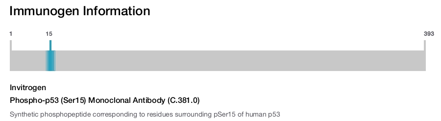 Phospho-p53 (Ser15) Monoclonal Antibody (C.381.0)