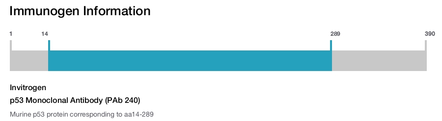 p53 Monoclonal Antibody (PAb 240)