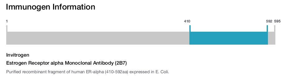 Estrogen Receptor alpha Monoclonal Antibody (2B7)