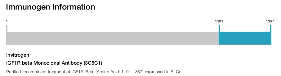 IGF1R beta Monoclonal Antibody (3G5C1)