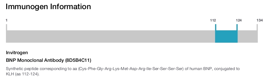 BNP Monoclonal Antibody (8D5B4C11)