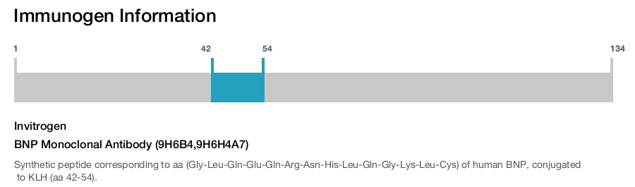 BNP Monoclonal Antibody (9H6B4,9H6H4A7)