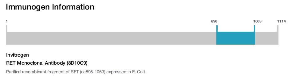 RET Monoclonal Antibody (8D10C9)