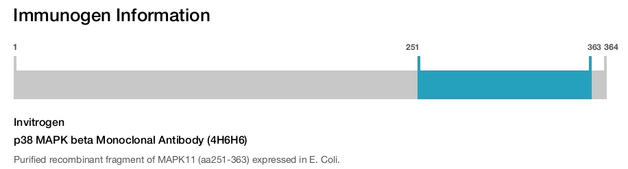 p38 MAPK beta Monoclonal Antibody (4H6H6)