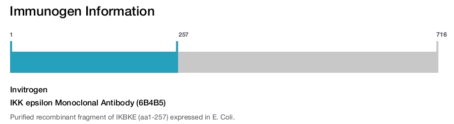 IKK epsilon Monoclonal Antibody (6B4B5)