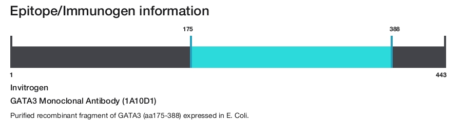 GATA3 Monoclonal Antibody (1A10D1)