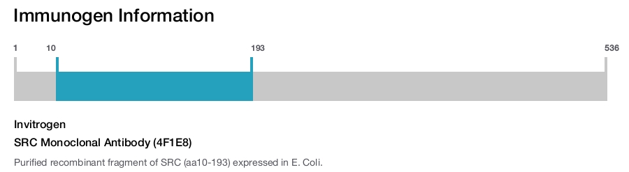 SRC Monoclonal Antibody (4F1E8)