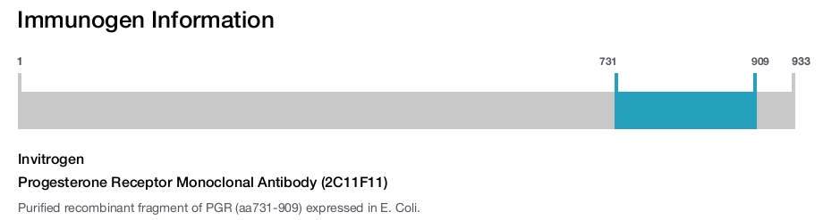 Progesterone Receptor Monoclonal Antibody (2C11F11)