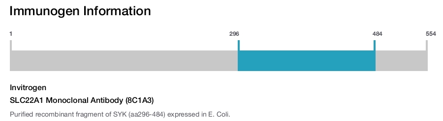 SLC22A1 Monoclonal Antibody (8C1A3)
