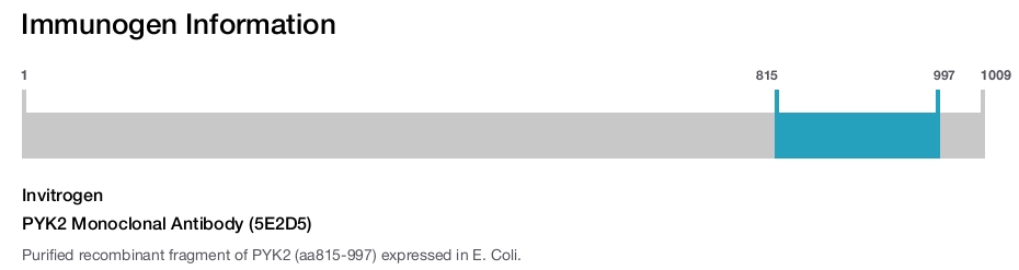 PYK2 Monoclonal Antibody (5E2D5)