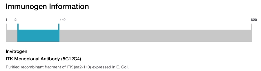 ITK Monoclonal Antibody (5G12C4)