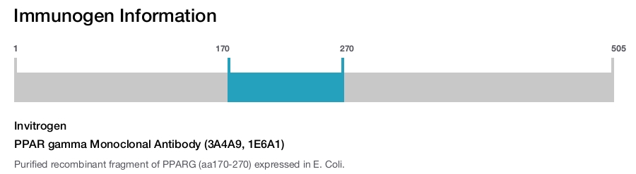 PPAR gamma Monoclonal Antibody (3A4A9, 1E6A1)