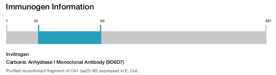 Carbonic Anhydrase I Monoclonal Antibody (9D6D7)