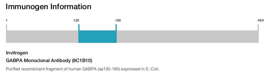 GABPA Monoclonal Antibody (8C1B10)