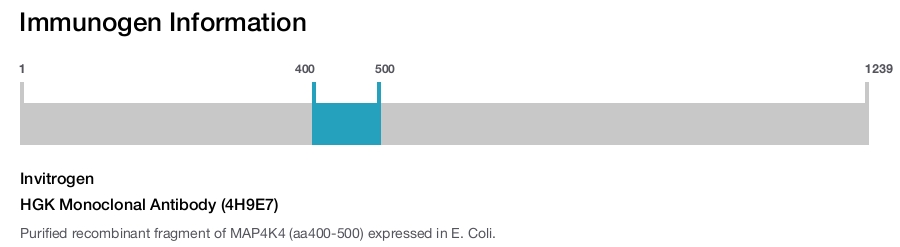 HGK Monoclonal Antibody (4H9E7)
