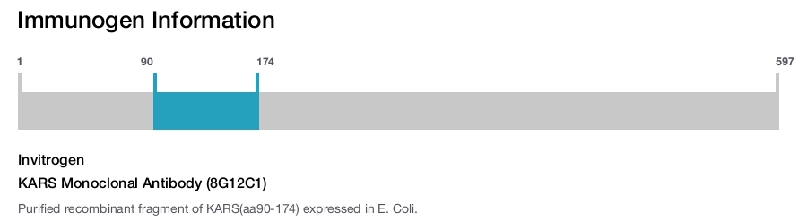 KARS Monoclonal Antibody (8G12C1)