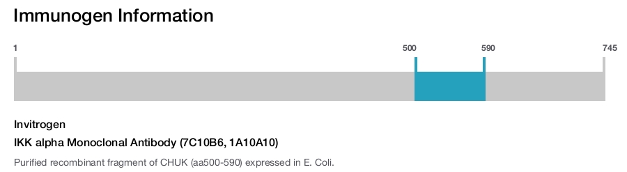 IKK alpha Monoclonal Antibody (7C10B6, 1A10A10)