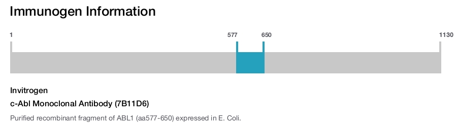 c-Abl Monoclonal Antibody (7B11D6)