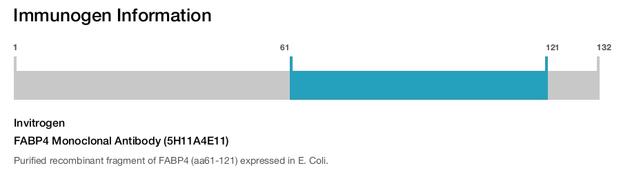 FABP4 Monoclonal Antibody (5H11A4E11)