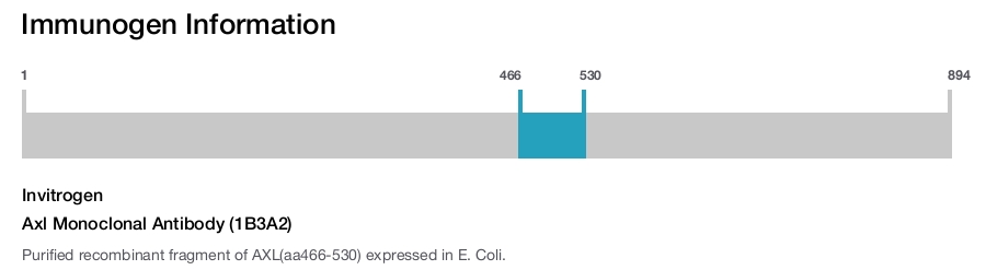 Axl Monoclonal Antibody (1B3A2)