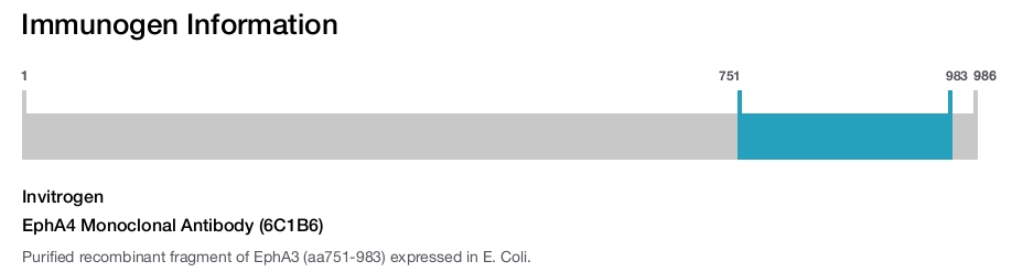 EphA4 Monoclonal Antibody (6C1B6)