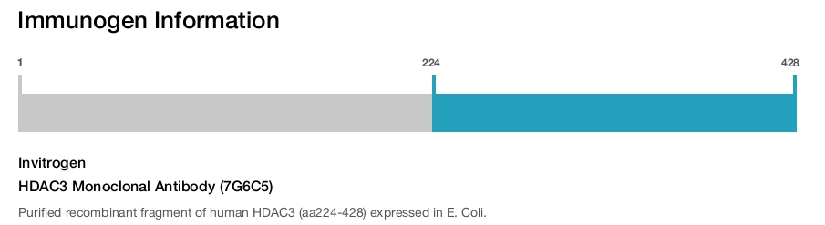 HDAC3 Monoclonal Antibody (7G6C5)