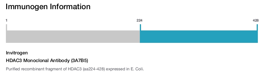 HDAC3 Monoclonal Antibody (3A7B5)