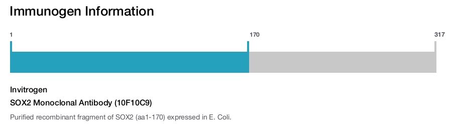 SOX2 Monoclonal Antibody (10F10C9)