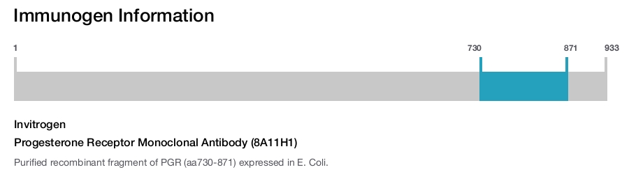 Progesterone Receptor Monoclonal Antibody (8A11H1)