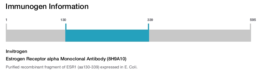 Estrogen Receptor alpha Monoclonal Antibody (8H9A10)