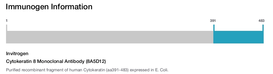 Cytokeratin 8 Monoclonal Antibody (8A5D12)