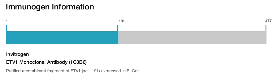 ETV1 Monoclonal Antibody (1C8B6)