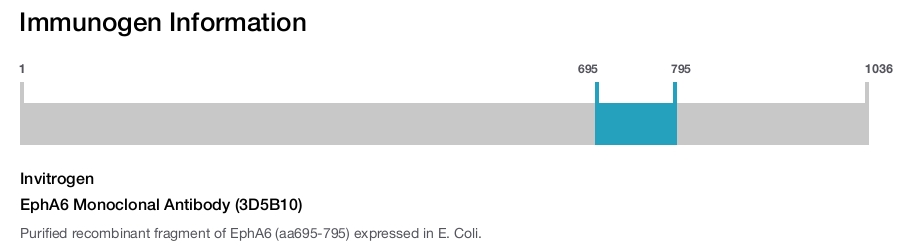 EphA6 Monoclonal Antibody (3D5B10)