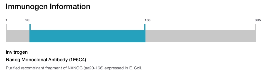Nanog Monoclonal Antibody (1E6C4)