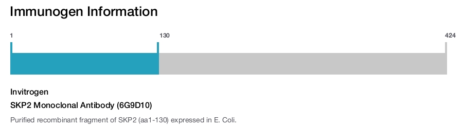 SKP2 Monoclonal Antibody (6G9D10)