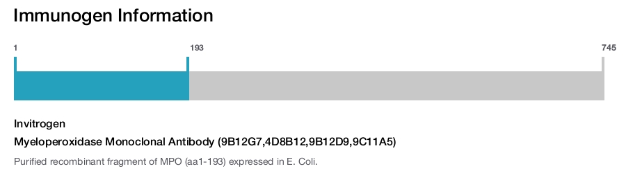 Myeloperoxidase Monoclonal Antibody (9B12G7,4D8B12,9B12D9,9C11A5)