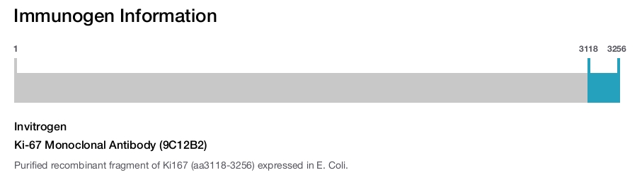 Ki-67 Monoclonal Antibody (9C12B2)