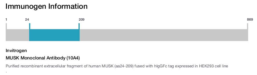 MUSK Monoclonal Antibody (10A4)