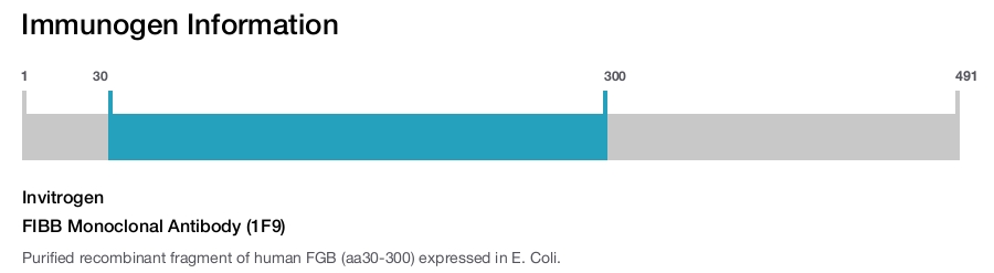 FIBB Monoclonal Antibody (1F9)