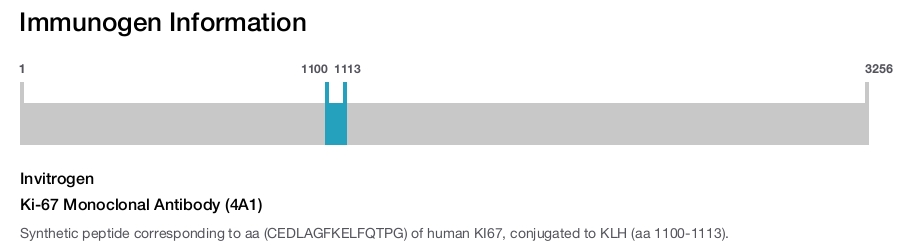 Ki-67 Monoclonal Antibody (4A1)