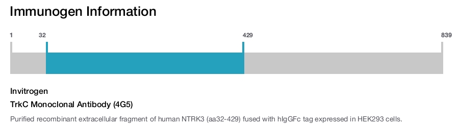 TrkC Monoclonal Antibody (4G5)